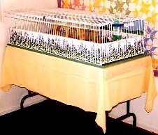 Enlarge photo 7