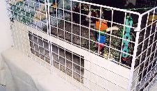 Enlarge photo 9