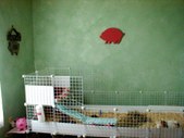 Enlarge photo 13