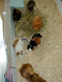 Enlarge photo 15