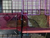 Enlarge photo 23