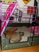 Enlarge photo 9