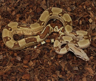 Enlarge photo 8