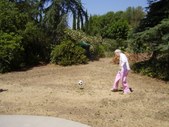 Enlarge photo 10