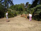 Enlarge photo 15