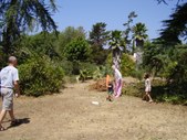 Enlarge photo 16