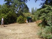 Enlarge photo 19