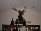 Hunting and Deer