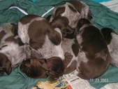 Enlarge photo 16