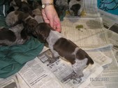 Enlarge photo 17