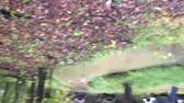 Enlarge MOV 8