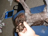 Enlarge photo 7