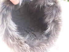 Enlarge photo 40