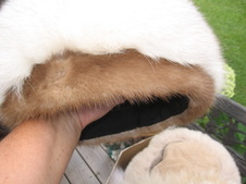 Enlarge photo 49