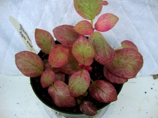 Enlarge photo 28