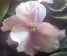 Enlarge photo 29