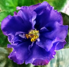 Enlarge photo 22