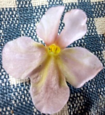 Enlarge photo 12
