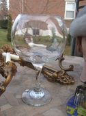 Enlarge photo 145