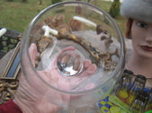 Enlarge photo 146