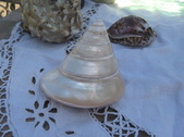 Enlarge photo 140