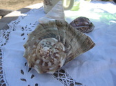 Enlarge photo 147