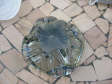 Enlarge photo 87