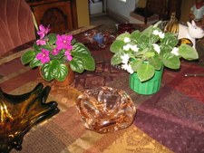 Enlarge photo 58