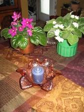 Enlarge photo 62