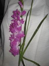 Enlarge photo 14