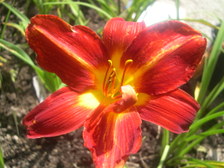 Enlarge photo 2
