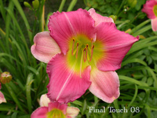 Enlarge photo 35
