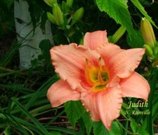 Enlarge photo 38