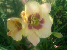 Enlarge photo 14