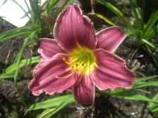 Enlarge photo 15