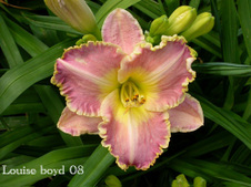 Enlarge photo 40