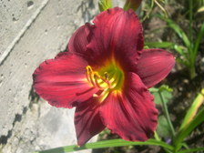Enlarge photo 17
