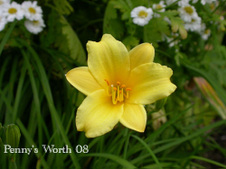 Enlarge photo 43
