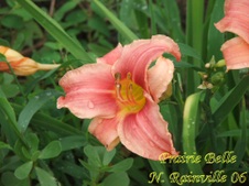 Enlarge photo 44