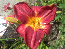 Enlarge photo 19