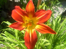 Enlarge photo 24