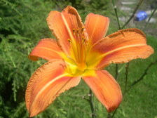 Enlarge photo 26