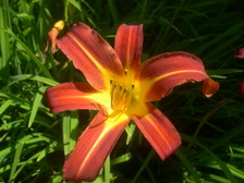 Enlarge photo 29