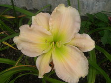 Enlarge photo 12