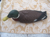 Enlarge photo 18