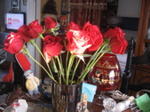 Enlarge photo 37