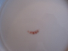 Enlarge photo 95