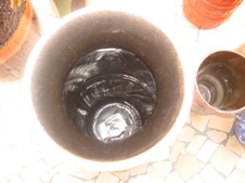 Enlarge photo 215