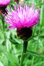 Enlarge photo 145