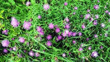 Enlarge photo 146